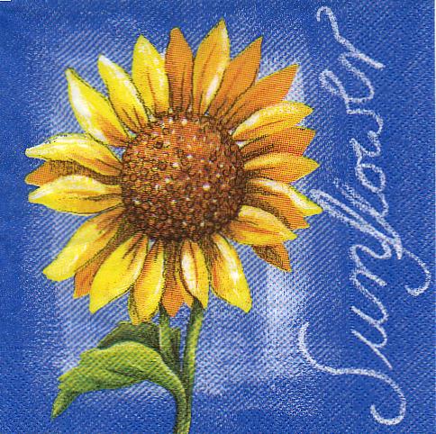 Sunflower - blau