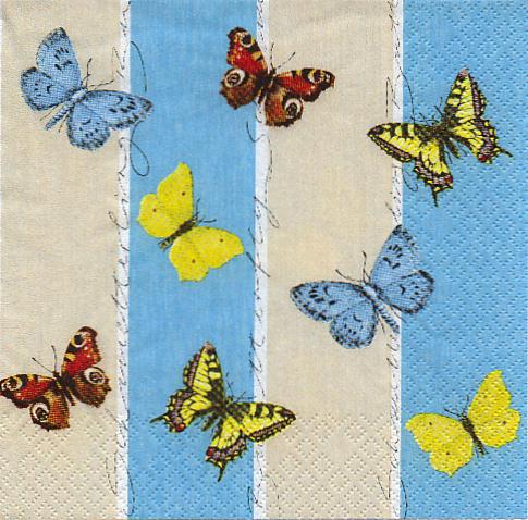 Butterfly and Strips