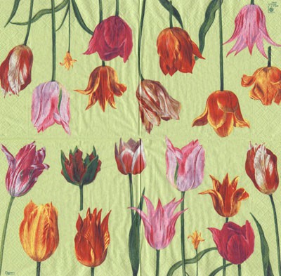 Chelsea Tulips - grün