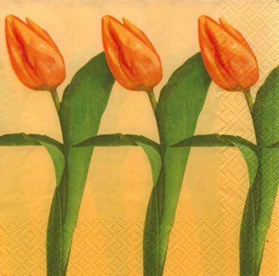 Drei Tulpen - orange