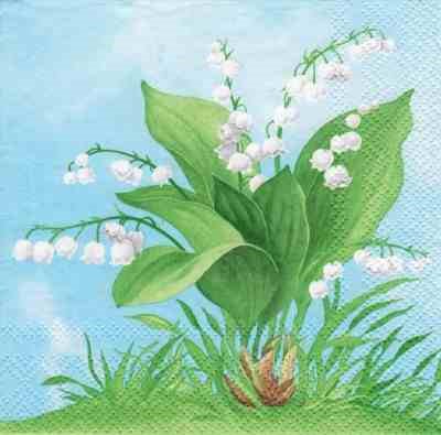 Lily of the Valley (33) (E)