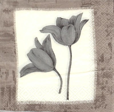 Tulpen - grau