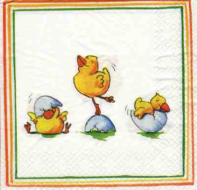 3 ducks