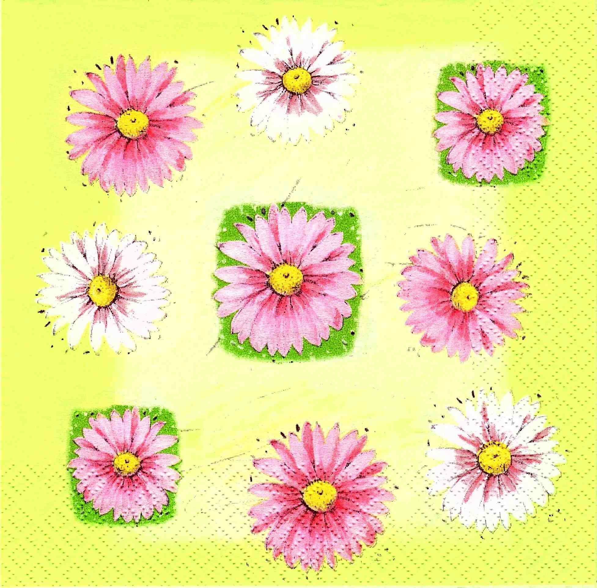 Gänsblümchen (E-2)
