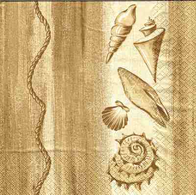 Muscheln - beige (E-2)