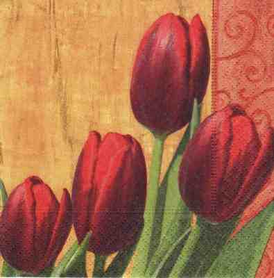 Fine Tulips (25)