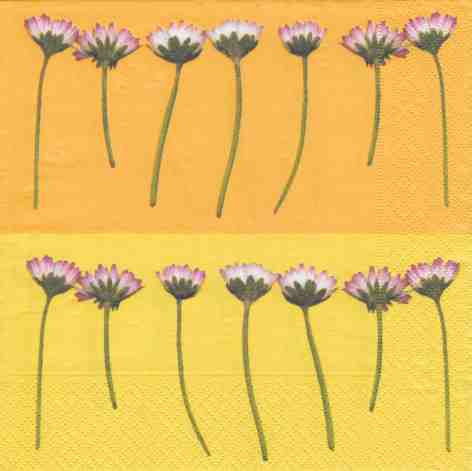 Gänseblümchen - gelb (E)