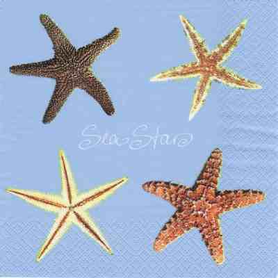 Seastars - lightblue