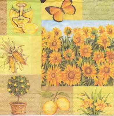 Sonnenblumenzeit