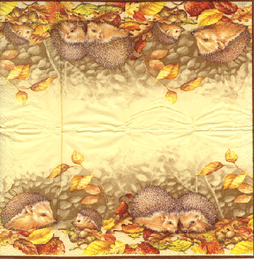 Hedgehog (T)