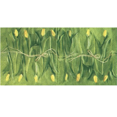 Gelbe Tulpen (E)