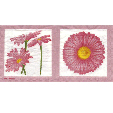 Gerbera - rosa