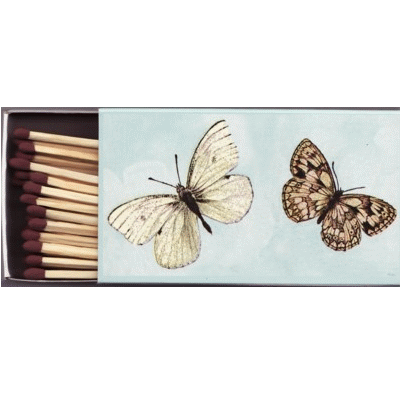 Zünder: Papillons